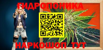a pvp Ангарск