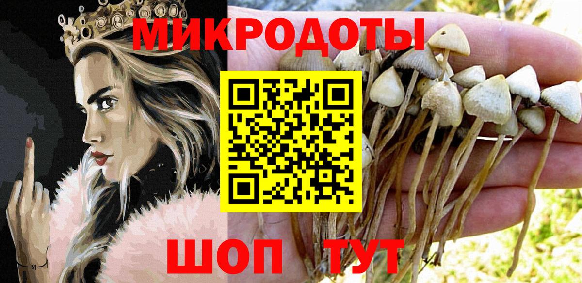 Псилоцибиновые грибы ЛСД Бор