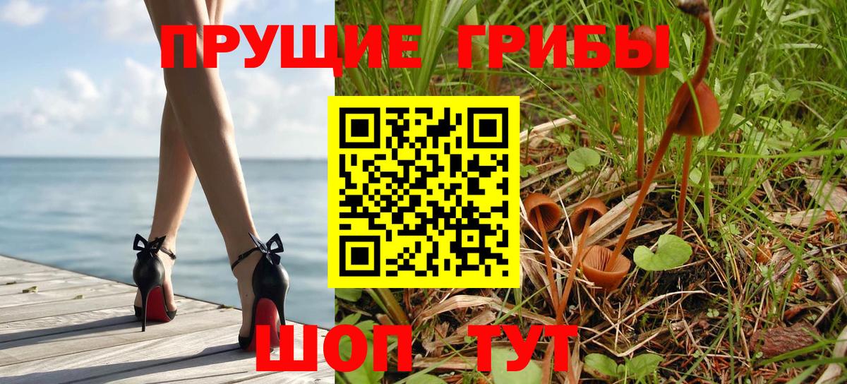 Бор  Галлюциногенные грибы GOLDEN TEACHER  Псилоцибиновые грибы Psilocybine cubensis  Вход с VPN 