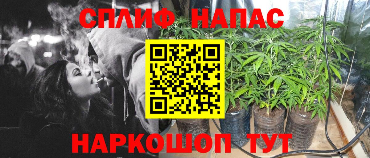 Канабис гибрид  Вход с VPN  Бор  Марихуана планчик  Бошки марихуана семена  Конопля план 
